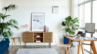 Living room with big plants