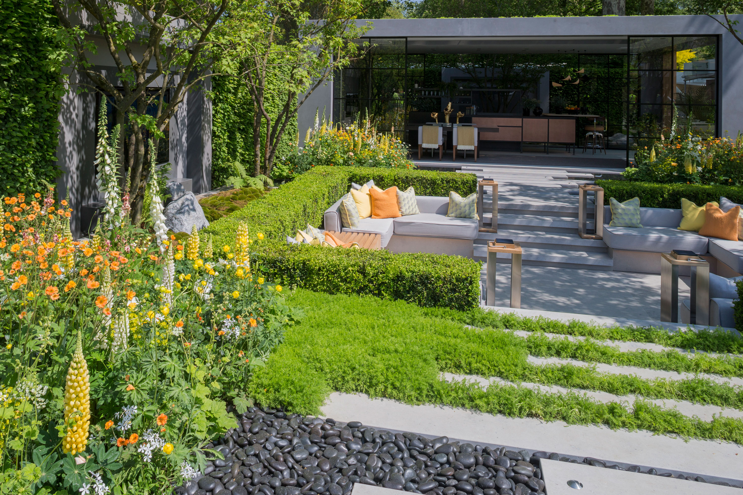 modern garden design with conversation pit and camomile lawn, paver, low hedge, trees and lupins