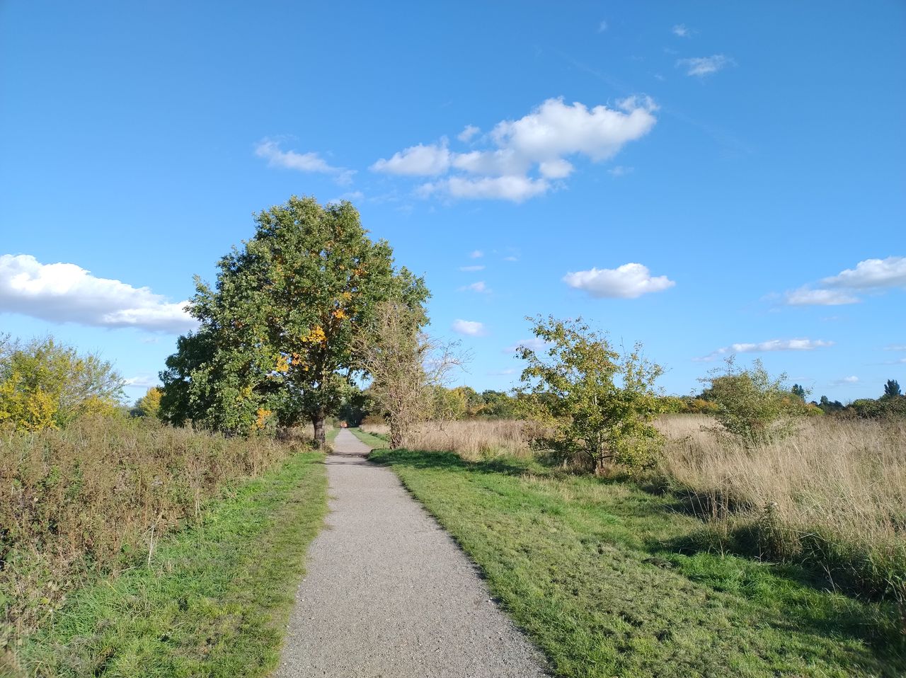 A Motorola Edge 30 Neo camera sample