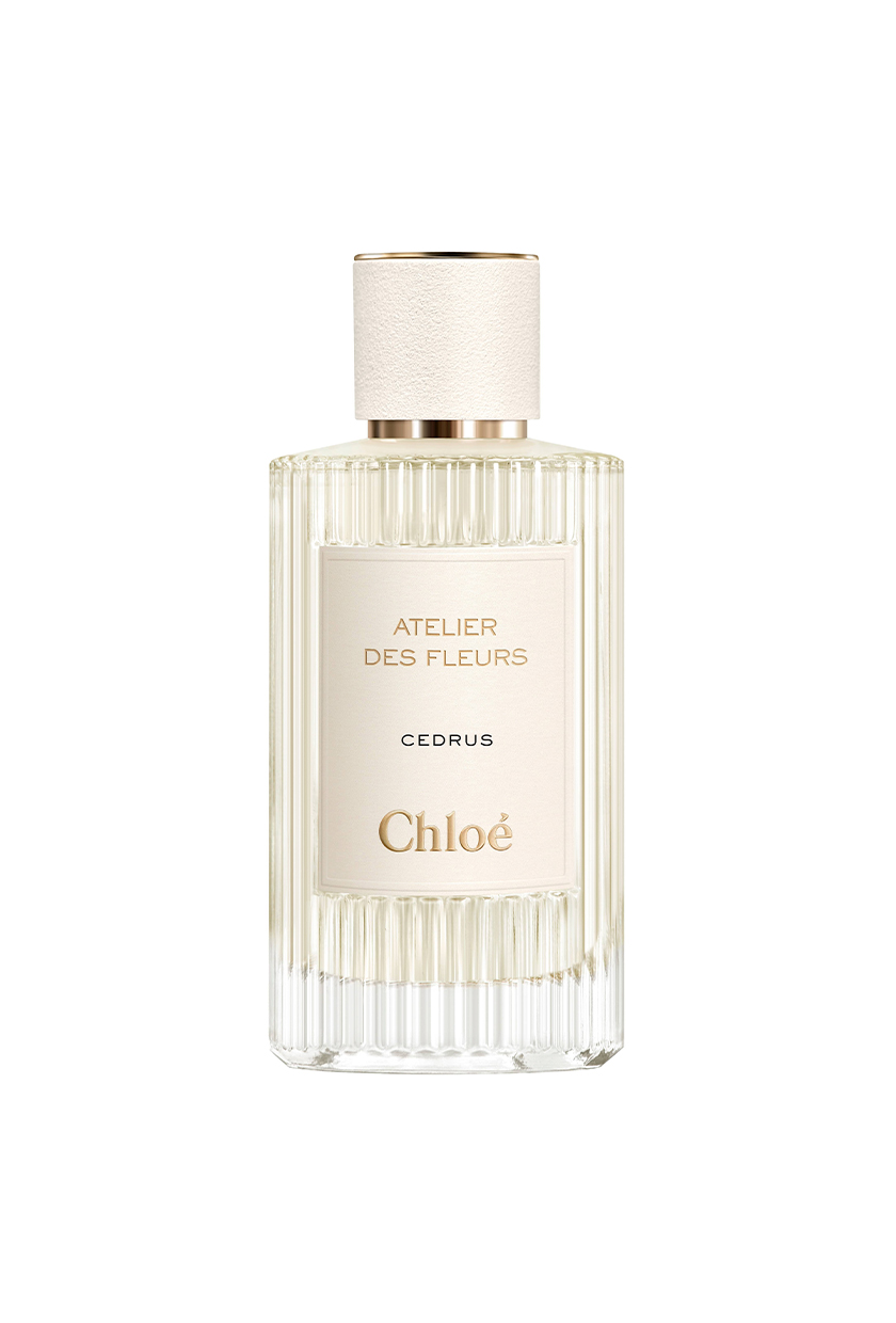 Chloé, Atelier des Fleurs Cedrus