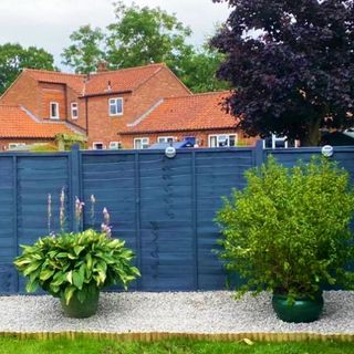 Potted plants on gravel next to wooden blue fence and lawn