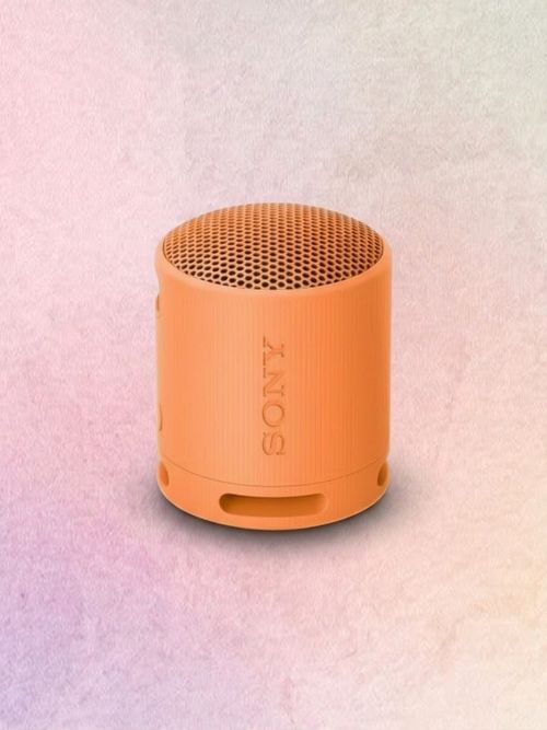 Sony SRS-XB100 Wireless Bluetooth Portable Speaker