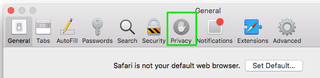 safari privacy tab