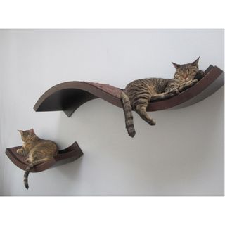 curved shelf on white wall and cats sleeping