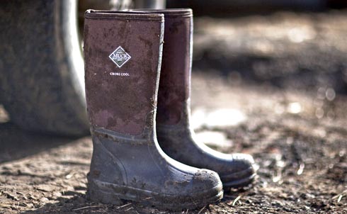Chore-Cool-Boots.jpg
