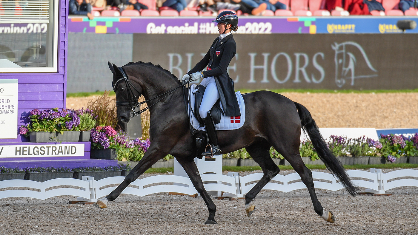 Carina Cass&oslash;e Kr&uuml;th riding Heiline's Danciera at the world dressage championsnips in Herning, Denmark.