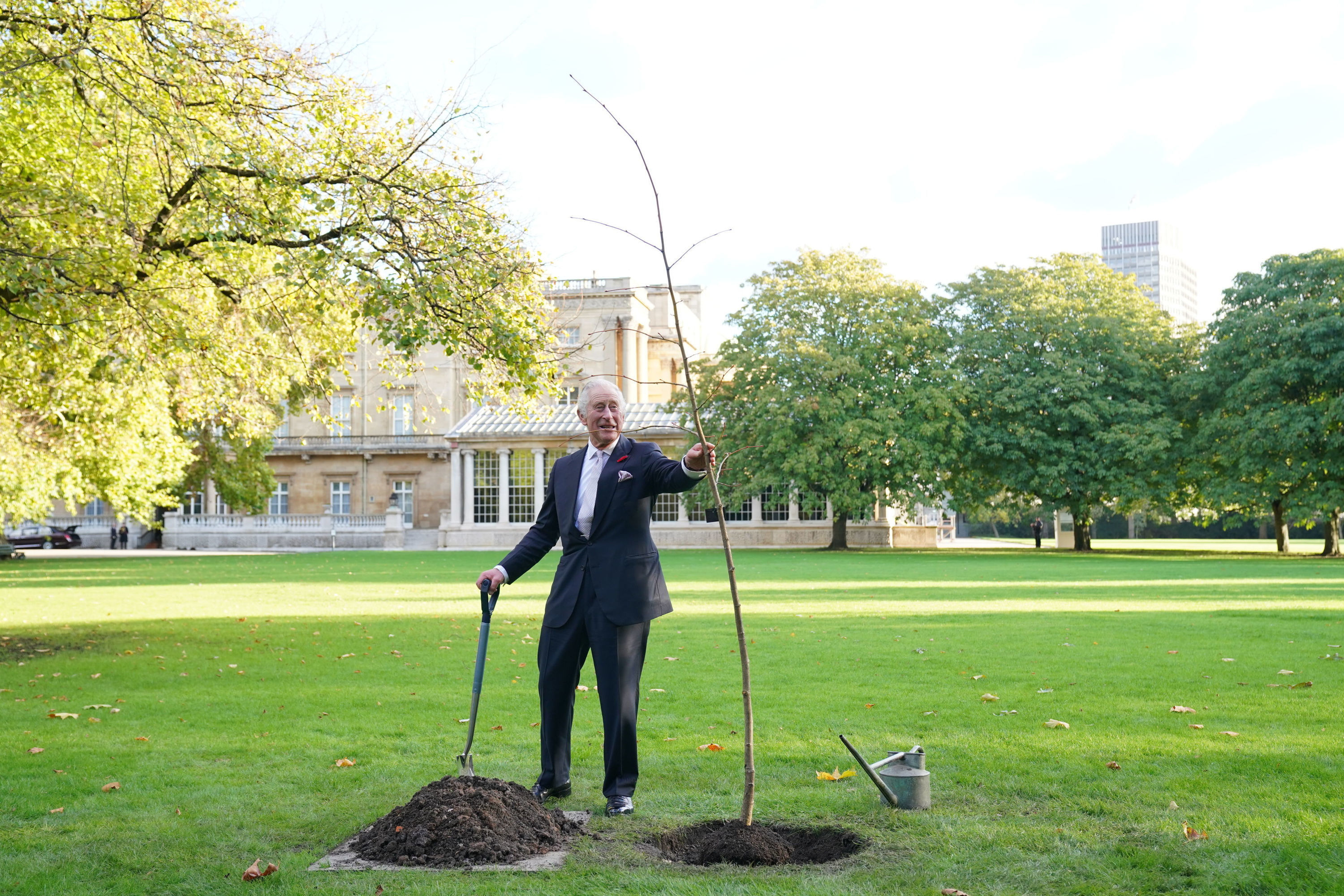 King Charles planting a tree in the grounds of Buckingham Palace