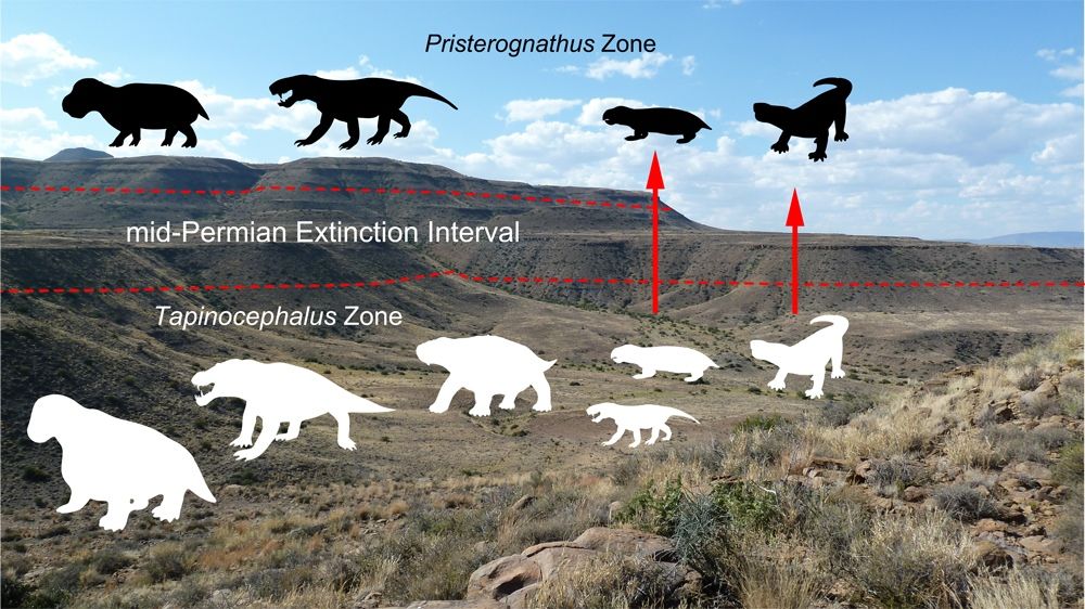 Researchers have found evidence for a little-known mass extinction that may have killed a good chunk of land animals some 260 million years ago.