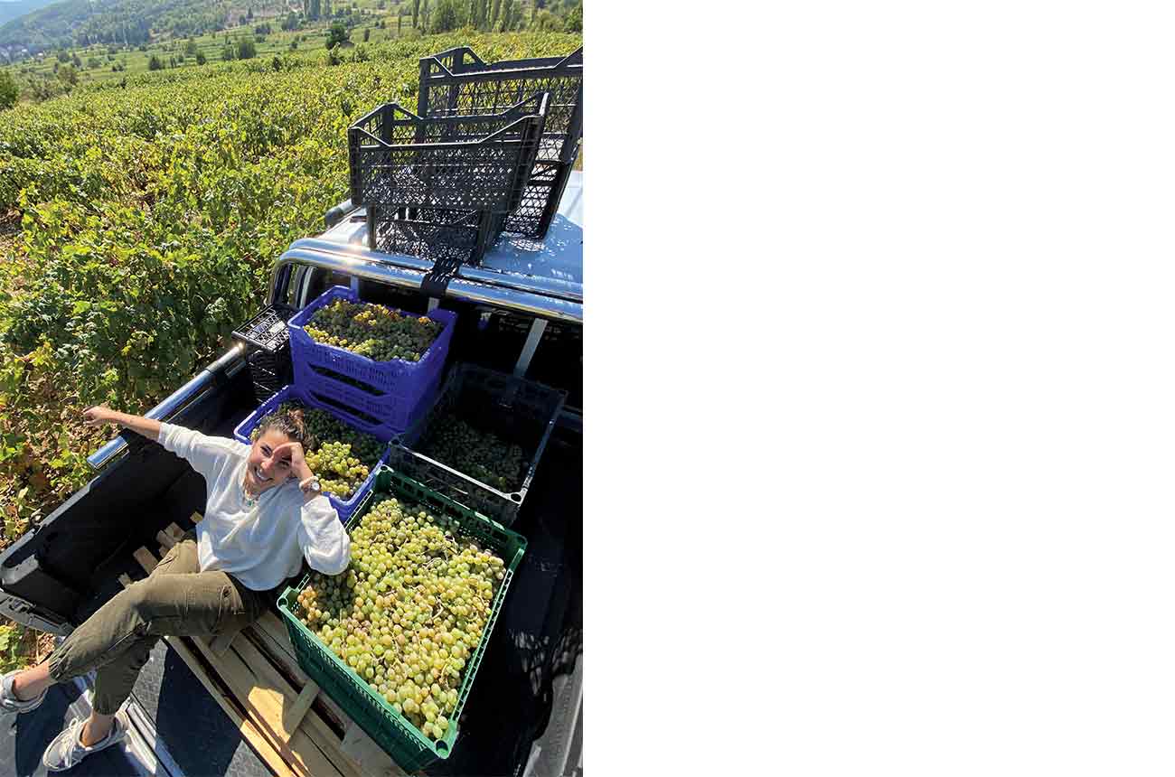 Gizem Billur Duyar of Kerasus Wines during harvest in Tokat, in Turkey&amp;rsquo;s Black Sea region