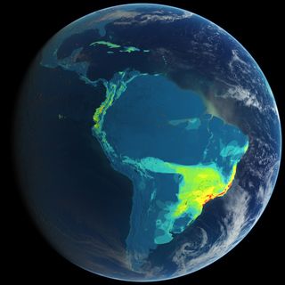 diversity map of birds in the americas