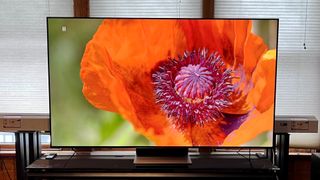 TCL 6-Series 2022 TV on stand displaying orange flower
