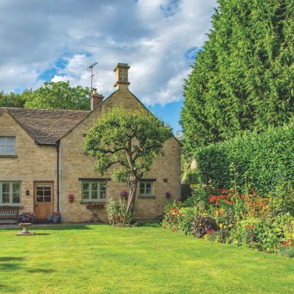 Large grass lawn in garden in front of house. Flowering plants growing in garden border.