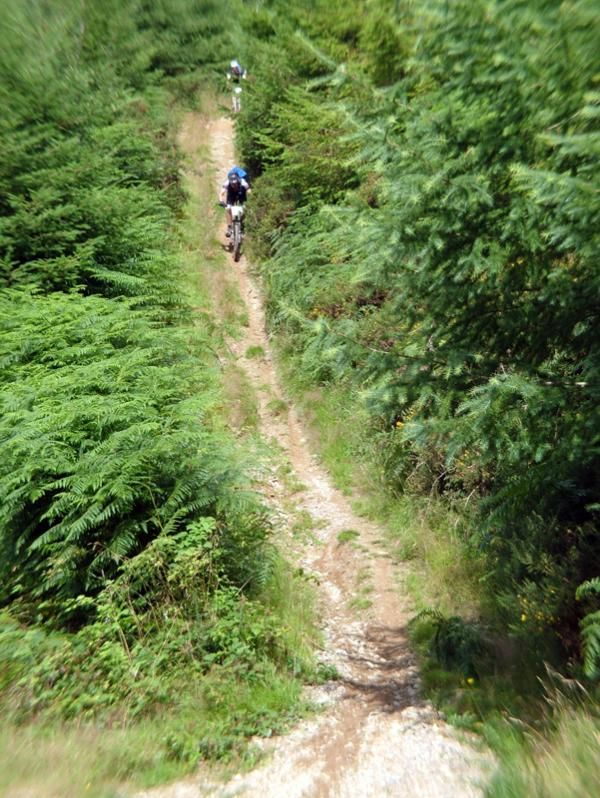 Tackling a trail on day two of the 2010 TransWales