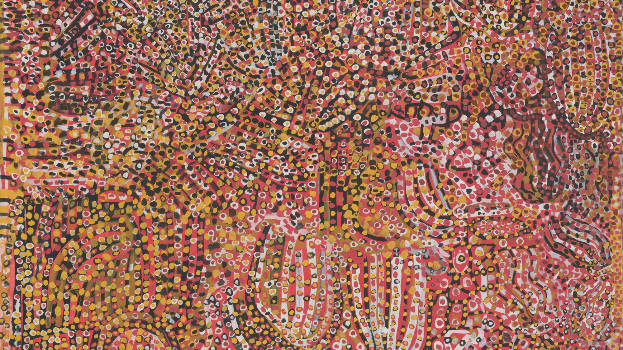 Painting by Emily Kam Kngwarray