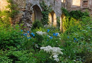 Lowther Castle Gardens, Cumbria. ©Val Corbett / Country Life