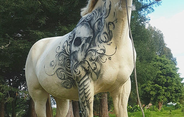 airbrushed-horse.jpeg