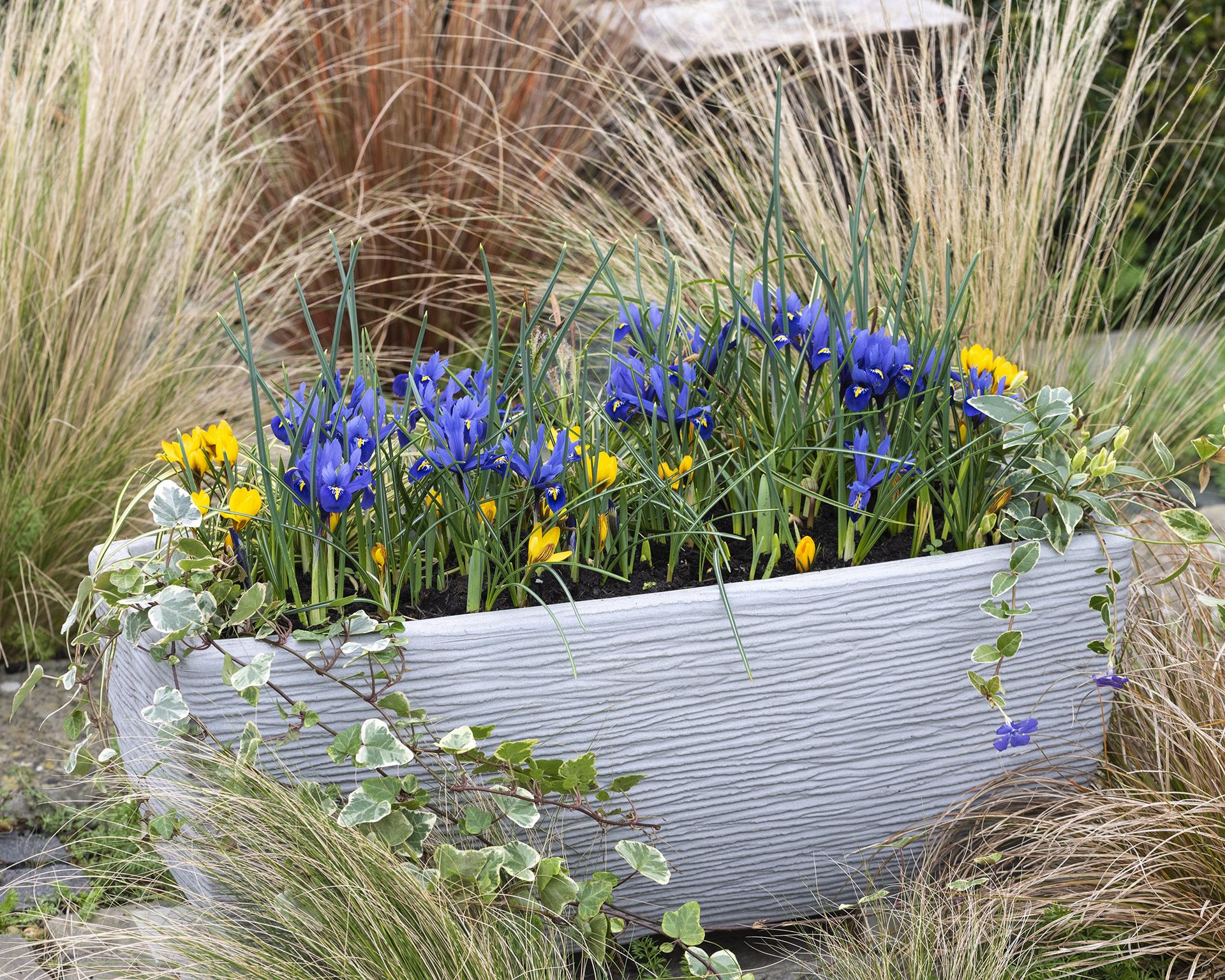 How to plant a bulb lasagne in 5 simple steps Gardeningetc