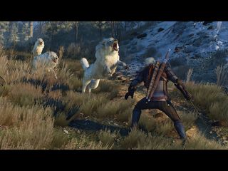 The Witcher 3: Wild Hunt