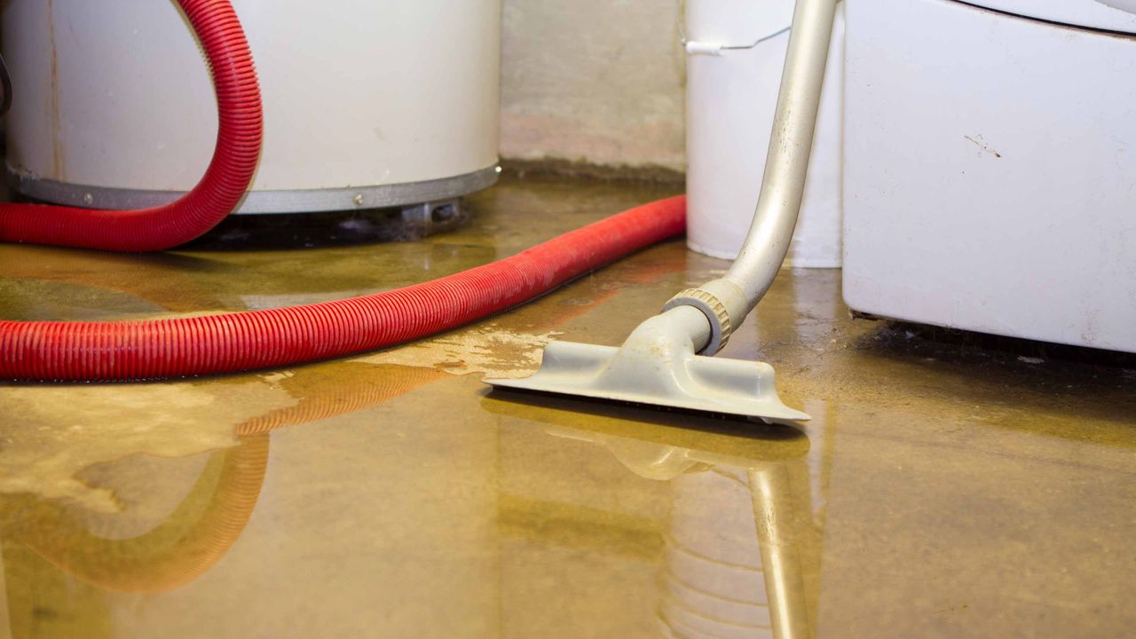 picture of shop-vac in flooded basement