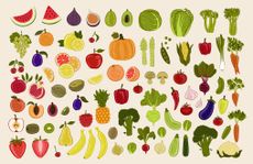 Many fruits and vegetables. 