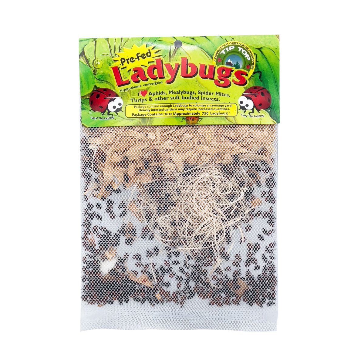 A bag of pre-fed live ladybugs
