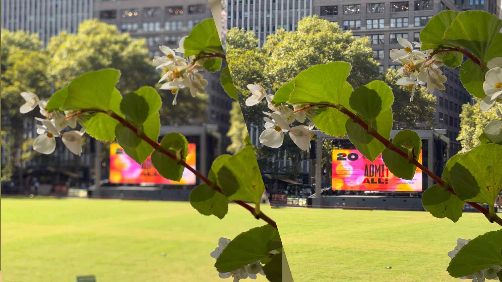 photo of flowers in Bryant Park in front of stage
