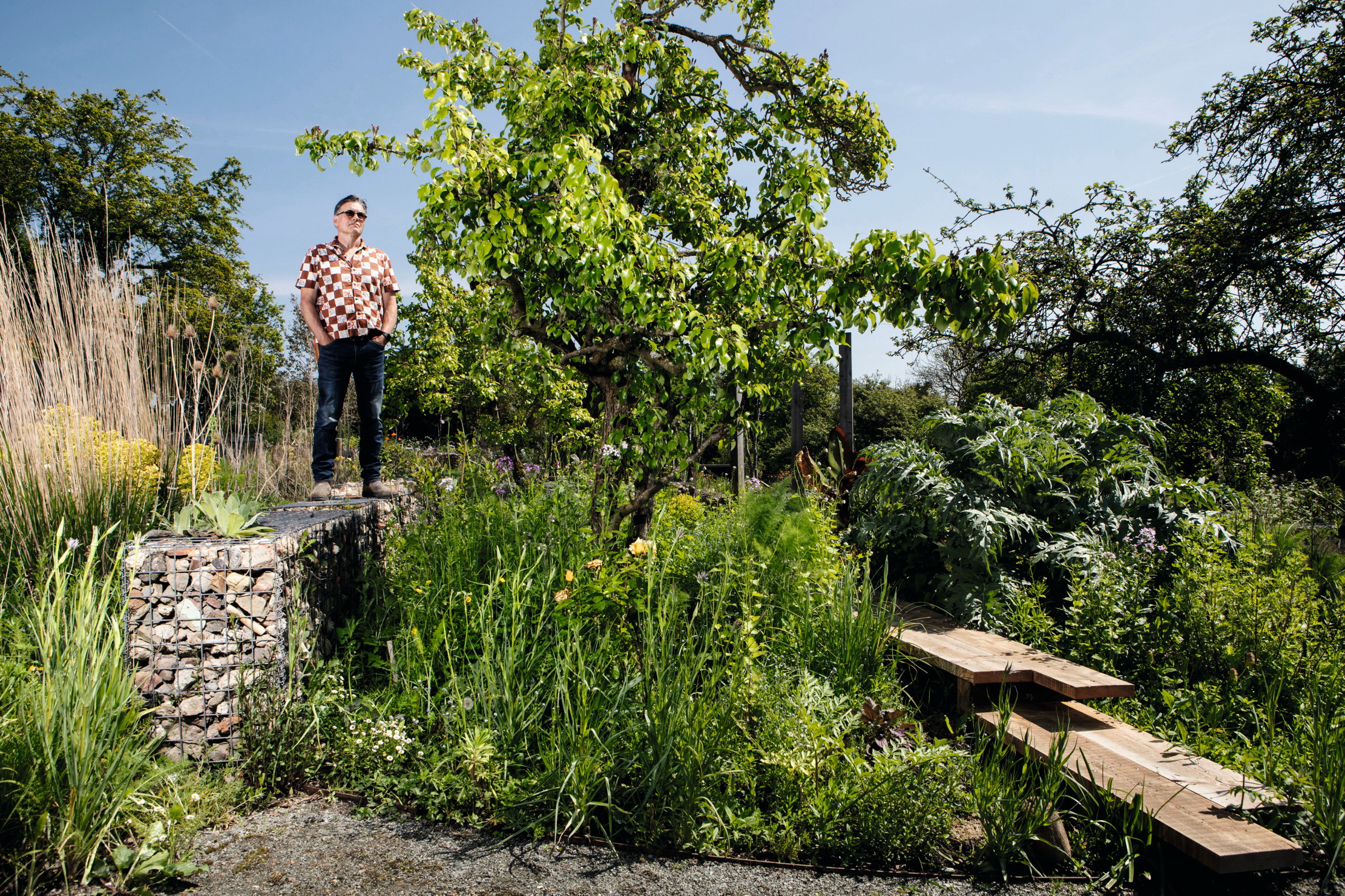 John Little stands on a gabion with which he is experimenting to see what plants will thrive in such inhospitable terrain.