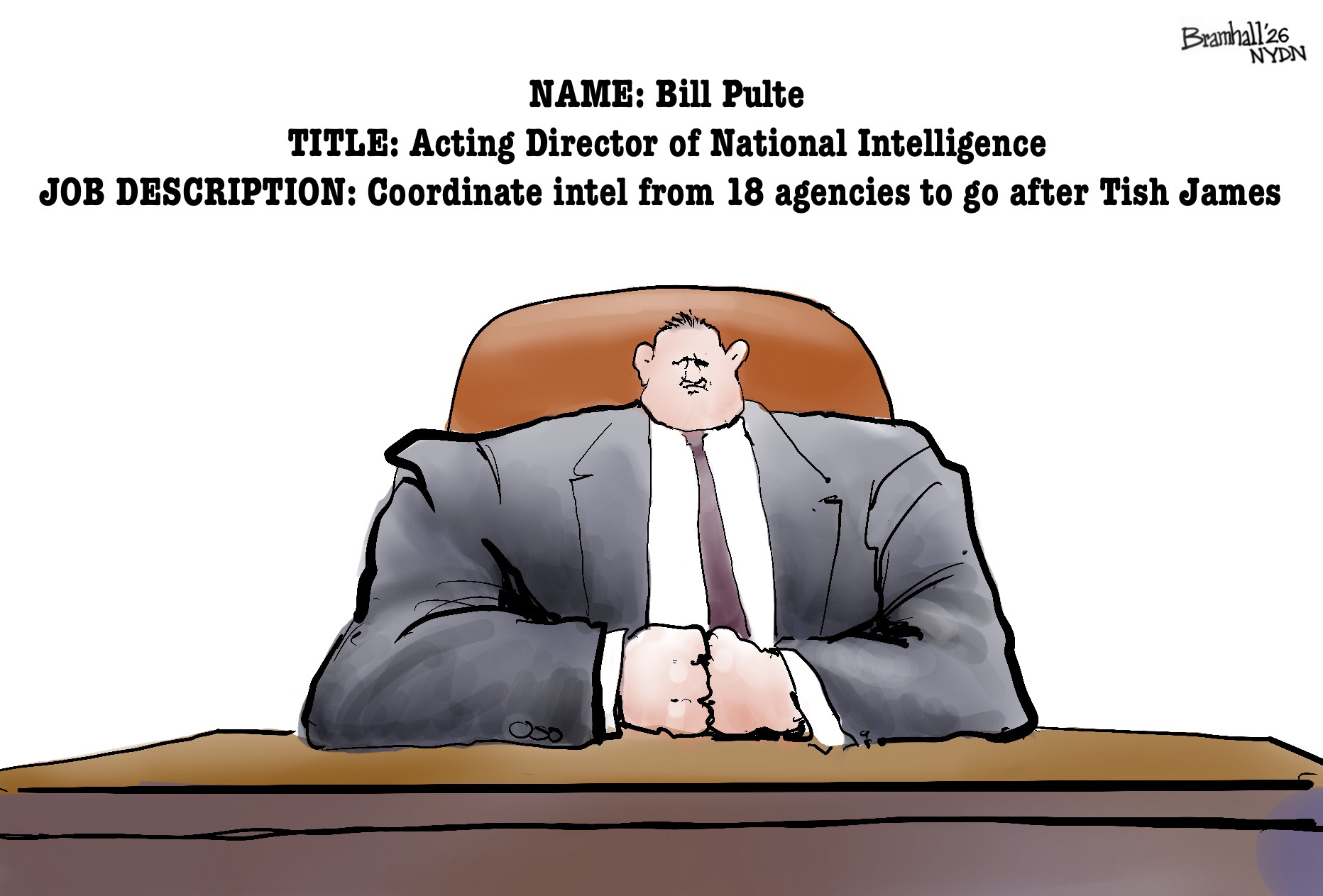 This cartoon depicts a caricature of Bill Pulte sitting at a desk. The words above him are: &amp;ldquo;Name: Bill Pulte. Title: Acting Director of National Intelligence. Job description: Coordinate intel from 18 agencies to go after Tish James.&amp;rdquo;