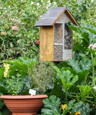 Bug hotel in vegetable garden