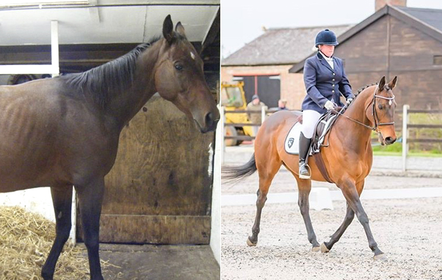 “This is Pants, or Empire Dancer to his racing friends. I bought Pants in September 2008 and we have done so much in this time, mainly dressage and showing as he isn’t into the whole jumping thing. Although he is rather cheeky, he is the most loving, rewarding and talented horse. We have had a tough time over the past couple of years due to him being diagnosed with a mild kissing spine but after injections into the area and lots of core work he is now ready to get back out into the competition ring” — Kerry Wright