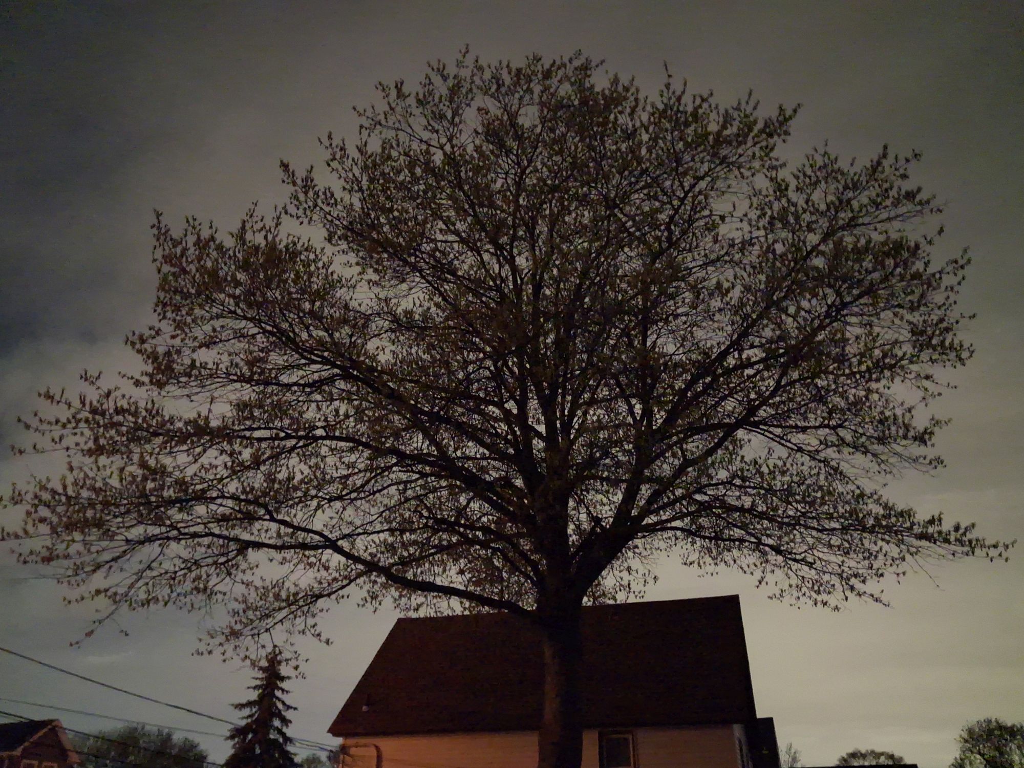 نمونه دوربین سامسونگ گلکسی A17.