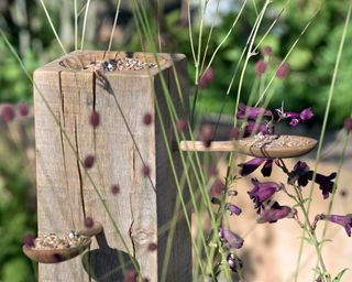 bird feeder in wooden spoon garden by Toni Bowater and Lucy Welsh at hampton court garden festival 2022