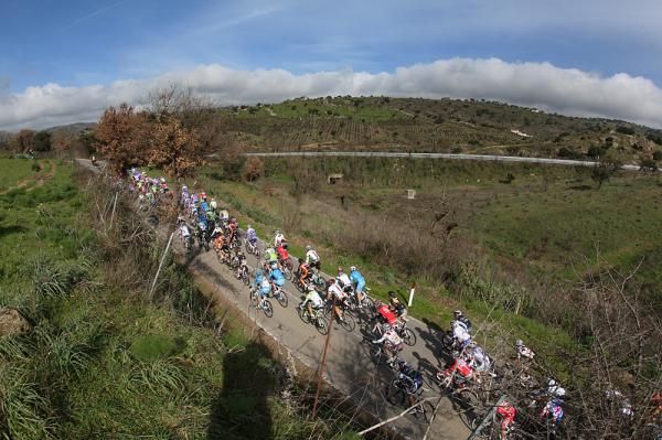The bunch all together on stage3