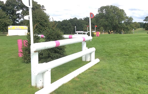 Burghley-2018-Maltings-fence14C