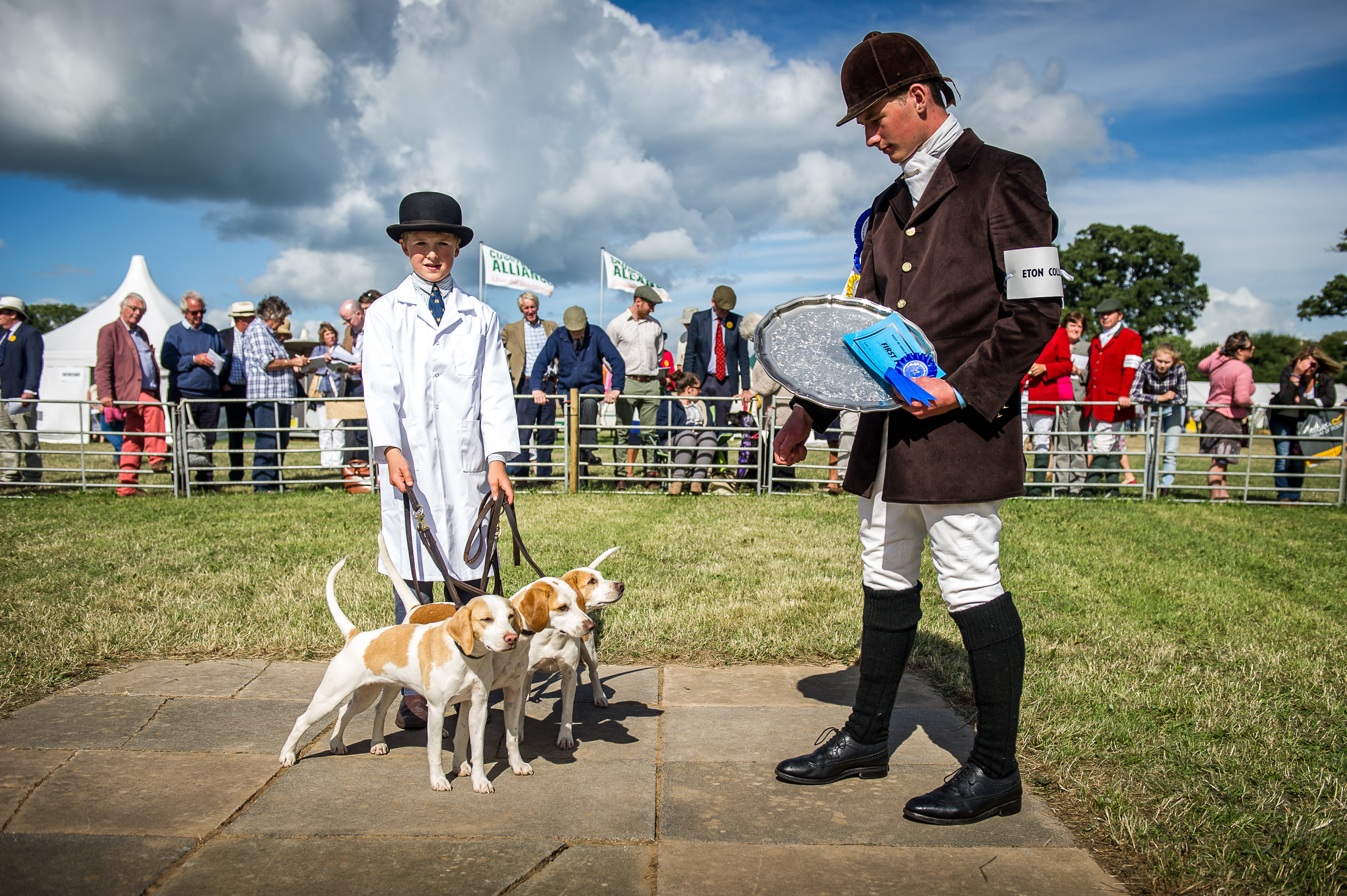 West of England Hound Show 2016 Honiton &mdash; Eton College Whatnot with Whitby and Willow land the spoils in the brood beagle bitch and progeny class
