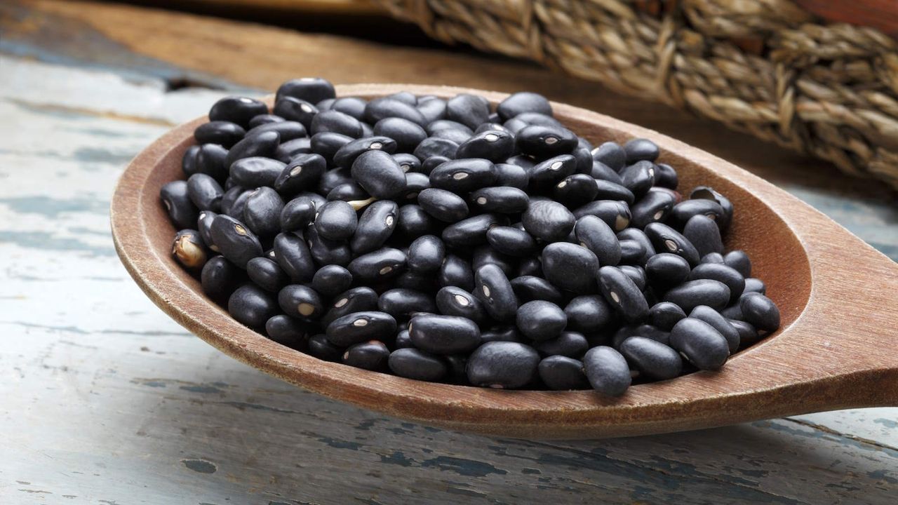 Black beans on a wooden spoon