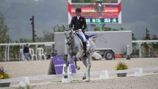 Tom Jackson and Capels Hollow Drift in the European Eventing Championships dressage 2023