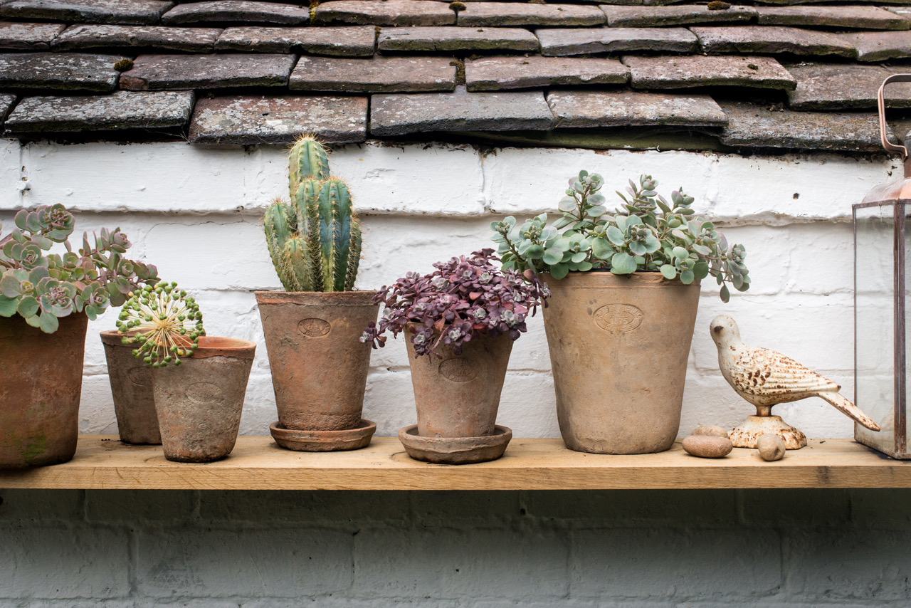 rustic terracotta plant pots in garden