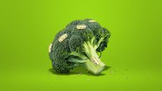 Illustration of a broccoli head covered in price stickers