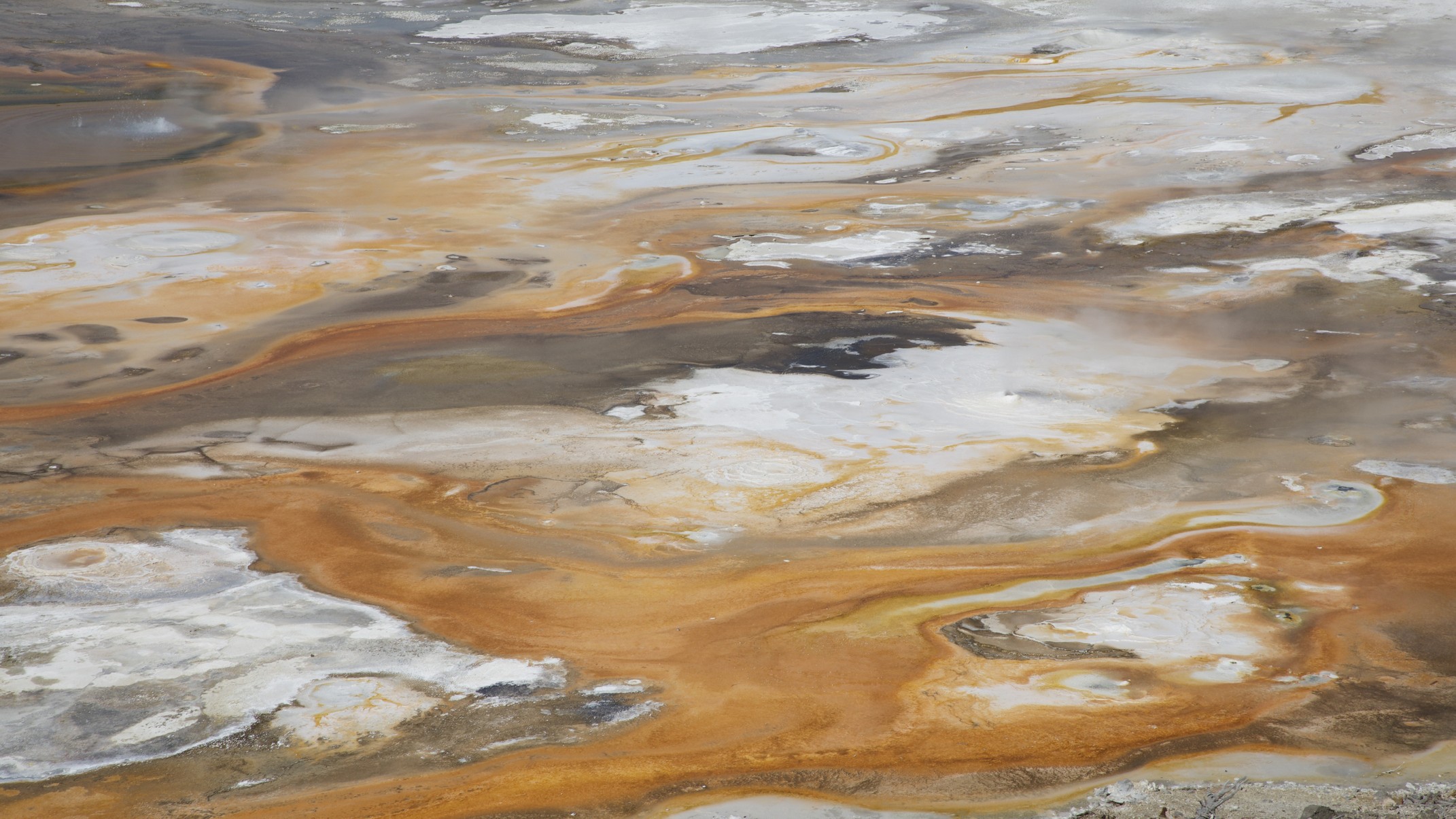 Close up photo of Norris Geyser Basin in Yellowstone National Park.