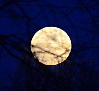 The brilliant supermoon full moon of Jan. 1, 2018 shines behind tree branches in this photo taken by skywatcher Jason Raymon from Stillwater, Oklahoma.