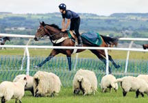 Middleham.jpg