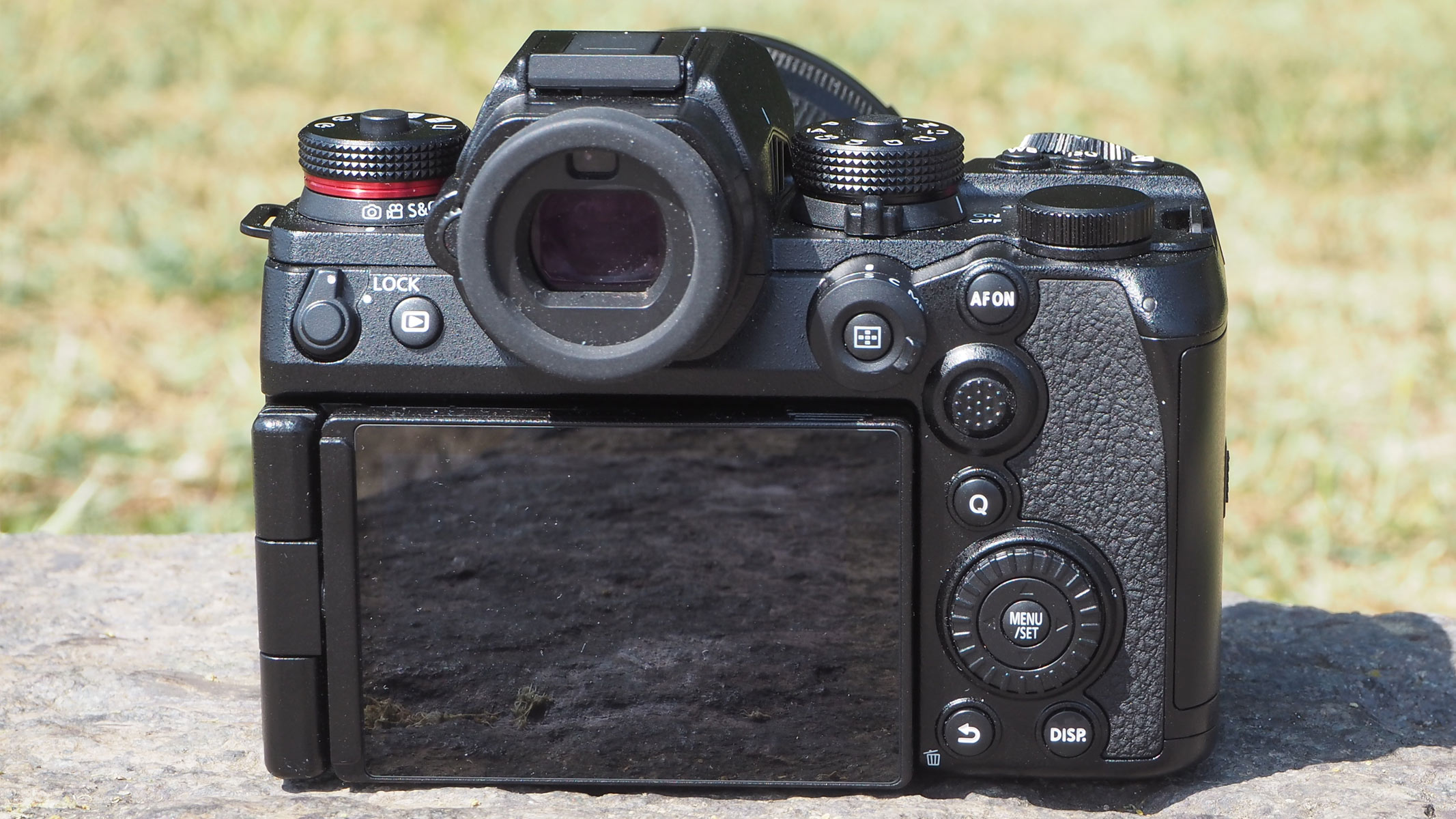 The screen and back of the Panasonic Lumix S1R II