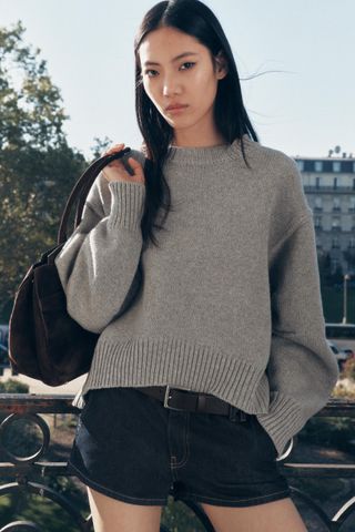 Pleated Sleeve Knit Sweater