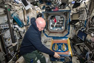 NASA astronaut Scott Kelly worked with the Rodent Research Facility aboard the International Space Station in 2015; a new mouse experiment will monitor the rodents' microbiomes in space.