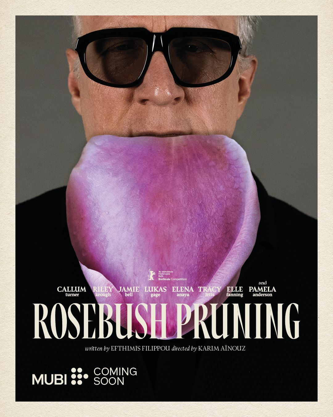 Rosebush Pruning posters.