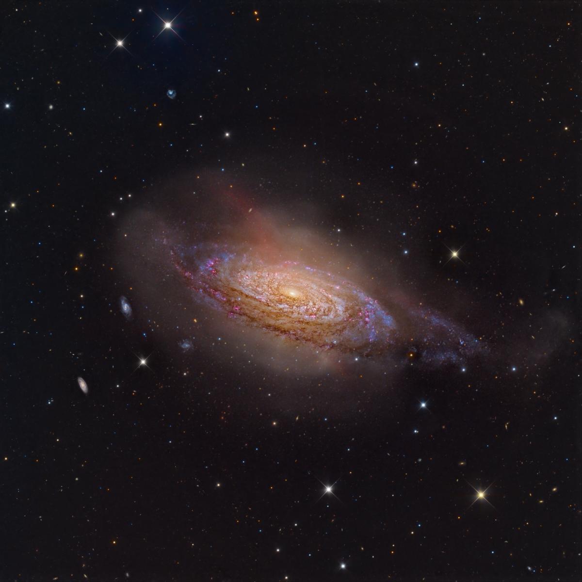 A dusty spiral galaxy hued in shades of yellow, purple and red floats in the darkness of space, surrounded by other, far distant galaxies and stars.