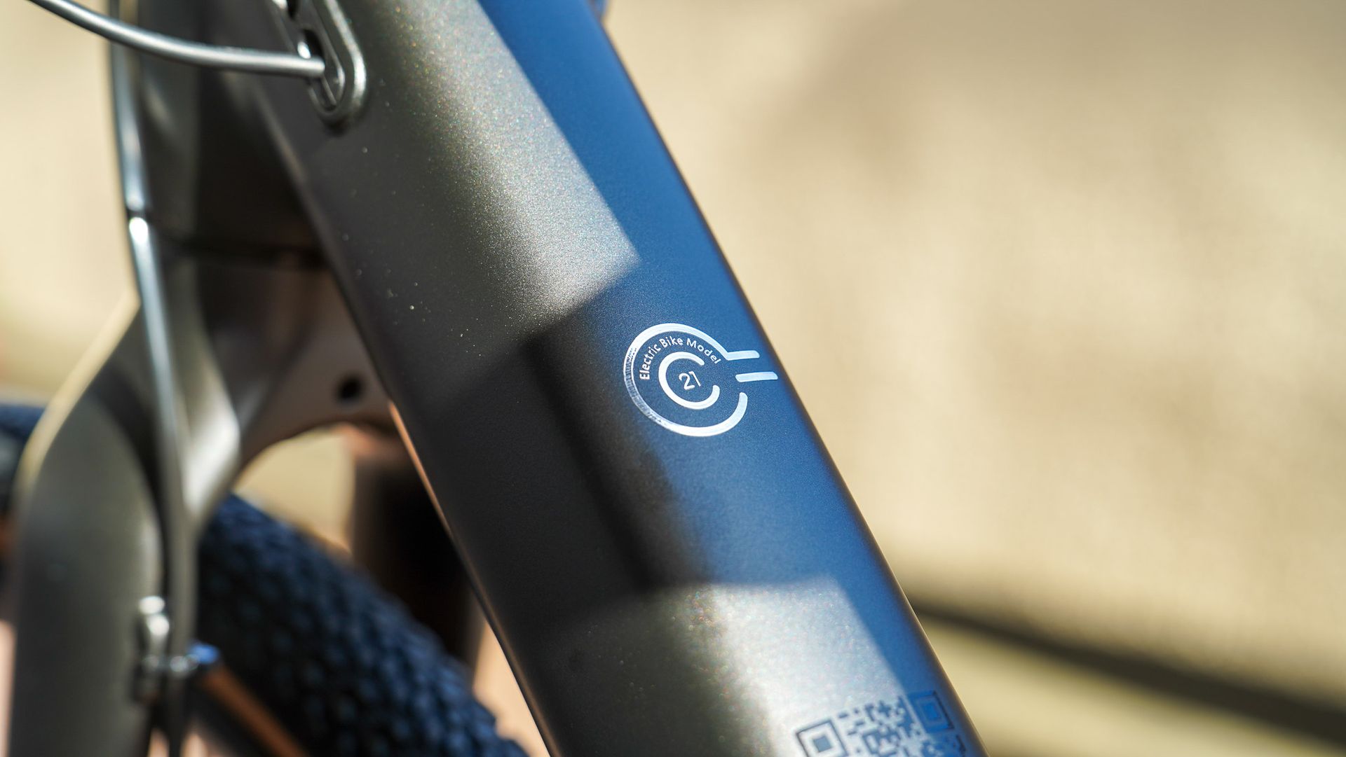 Fiido C21 review electric fun on a dime T3