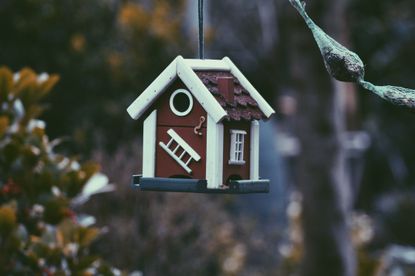 Birdhouse in tree representing a real house and house prices 2021