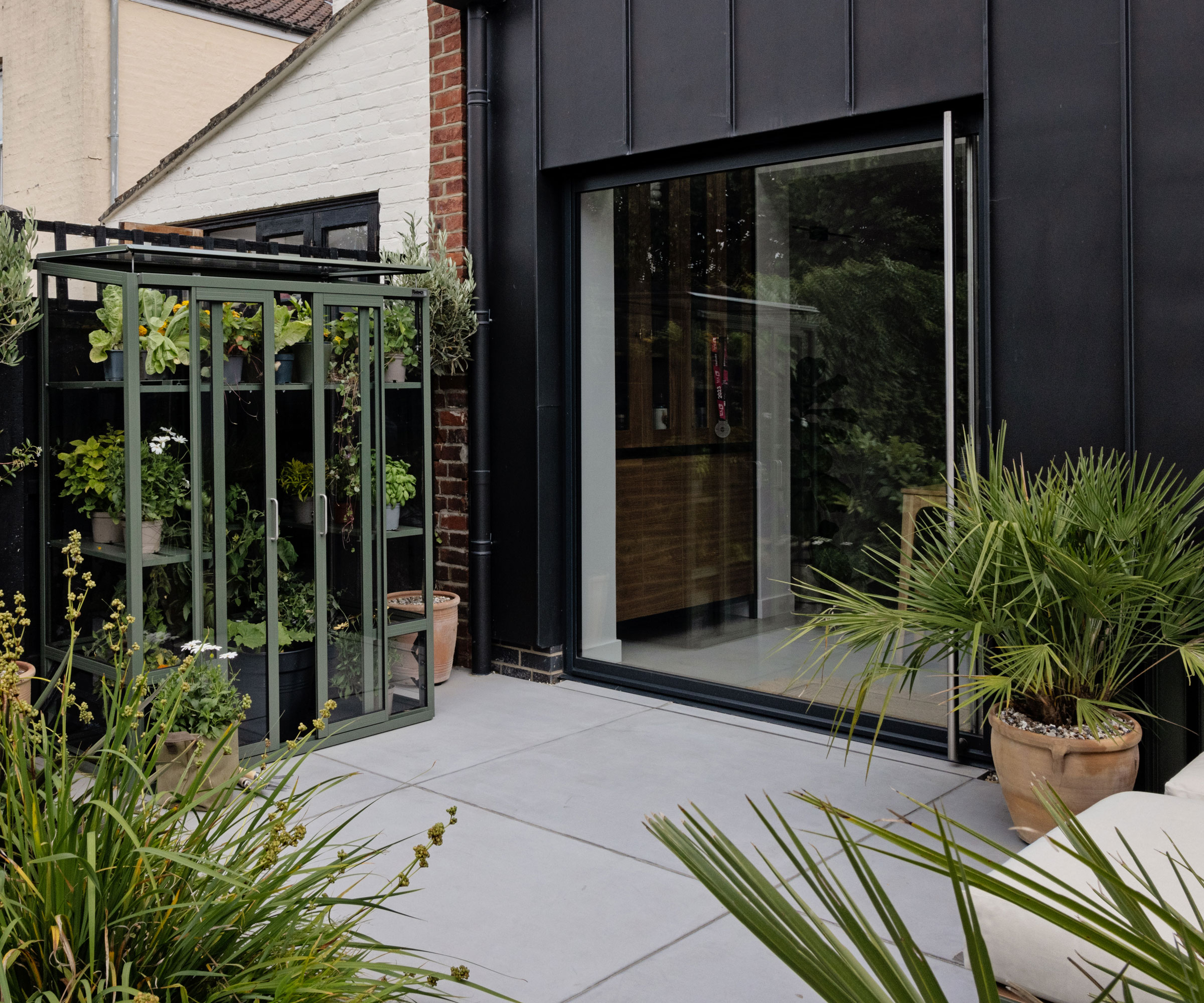 small patio greenhouse on patio with plants